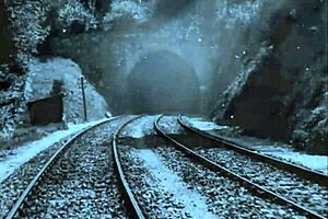 my secret life revealed through vintage erotic cartoons and anime adventures