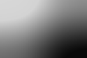 Engaging in physical and oral interactions