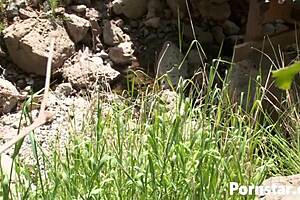 conversational madelyn marie and natasha marley get down with wild kinky 3some action