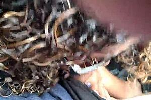 do two whores strip tease dance with ripped clothes?