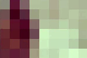 i'll guide you through sucking dick like a pro with my bisexual femdom toys and bdsm techniques