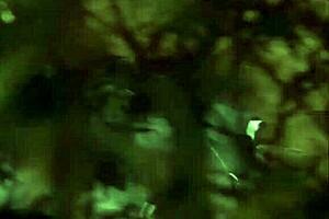 this blonde sexy nude girl from 10 to midnight in the car outdoors