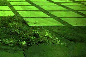 british bound anal clinic experience