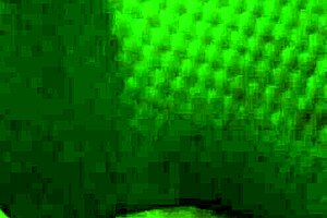 Wife Gets Fucked By Husband With Strapon In Anal Sex!