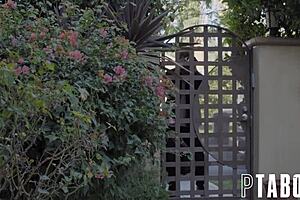 lapdog chad alva charlotte sins