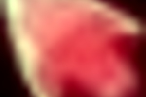 Honeysun walkthrough hgame with blowjobs and big tits