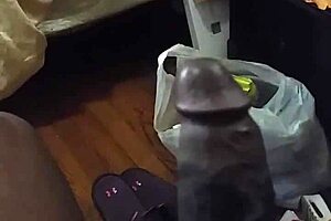 Stepmother Craves A Piece Of The BBC