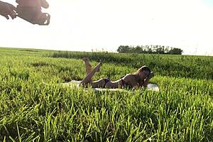 russian teen 18+ drilled hard backstage in raw action