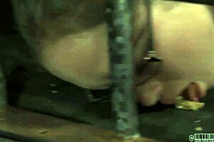 hardcore blowjob action in intriguing scene