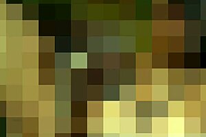 I have a big black cock surprise for you in this femdom POV scene