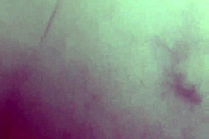 Big Bubble Butt Teen Dance Twerk On Big Cock!