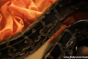 brunette girl from exotic bollywood in sensual solo display