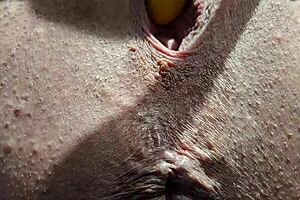 kandi laigne sits on your face and masturbates, doesn't she?