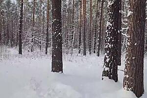 wow, creampie for that big ass girl outdoors with the taxi driver in the deep woods! 🍆