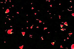 she indulges in her secret fantasy with a monster cock