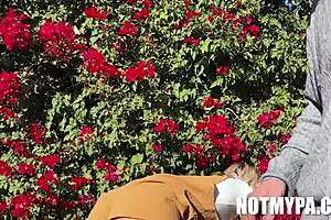 chloe temple blows jack vegas pov