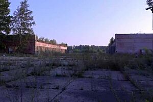 Curvy milf with big ass strips under short skirt in public outdoors