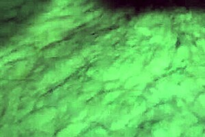 Esposa putinha senta gostosa no anal 😈