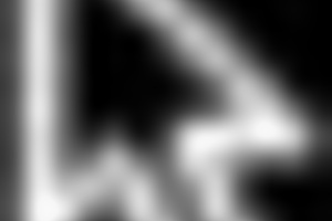 Morena explores forest