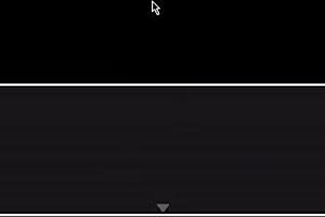 Morena explores forest