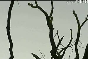 Intense Mirzapur Sex Scenes Compilation HD