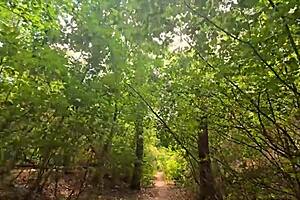 Pleeeeeease Dont Stop Cum Inside Me During Outdoor Sex