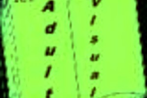 my real desire for indian hentai anime cartoon