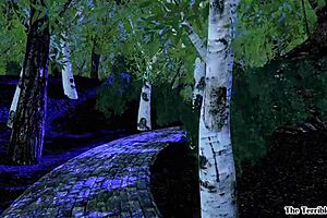 Ttf reveals your secret