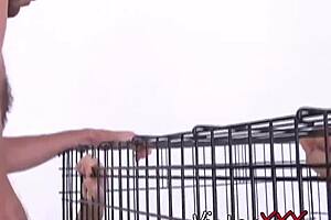 Horny Homo Landon Kovak Raw Ramming Delicious Sean Storm