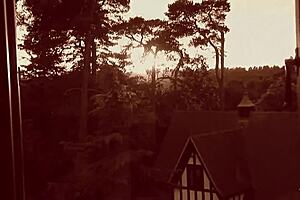 Brunette's funeral turns into group sex fuck fest