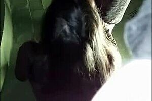 A crossdresser meets a small woman for bisexual adventures with big tits