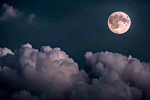 caught you masturbating at the party, shy geek?