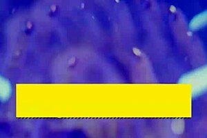 Jessie Rogers gets bored at work and gives Scott sneaky anal in the kitchen.