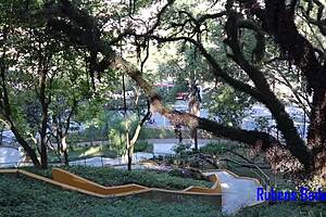 Loirinha peituda gives buceta to punheteiro da praça. Bent over outdoor.