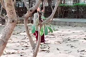 Pujaprem Hardcore Sex Roleplay Dec 29 2023