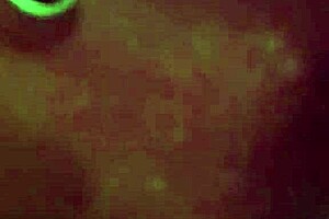 Submissive wife tied up and fucked