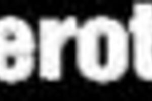 Lesbians finger wet pussies on lawn in sapphix scene