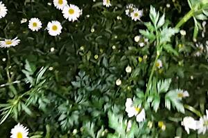 Sex With A Housekeeper After A Walk In The Garden - Girls Fly Orgasm