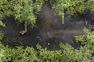 Complete Gameplay - Lust Epidemic Part 22 Last