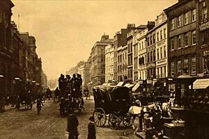 Vintage Erotic Illustration Collection