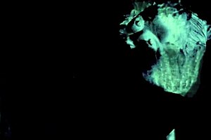 Hey, ever seen vintage taboo family confessions from a Victorian gentleman’s secret life?