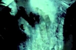 My Secret Life with Vintage Tranny Revealed