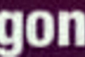 First Time Anal for Monique in Gonzo Style by Ass Traffic