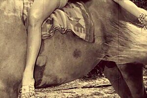 Who is the real beast in this beauty?