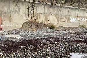 did you see stepbrother fucking stepsister in the woods?