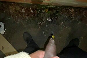 Cracky and the TV Show Episode