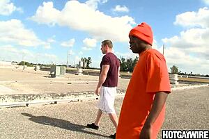 Come on, man, I don't want to suck that black cock!