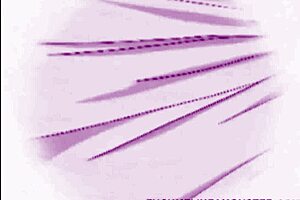 yo, check this sexy anime maid getting her pussy fucked!