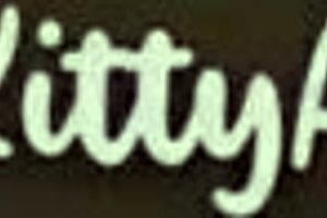 I spotted a horny busty young girl naked and masturbating, and I couldn't resist fucking her in missionary and anal.