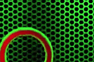 Kimberly Kane Licks Big Clit in Lingerie